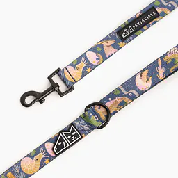 "Doggosaurus" city leash - Master