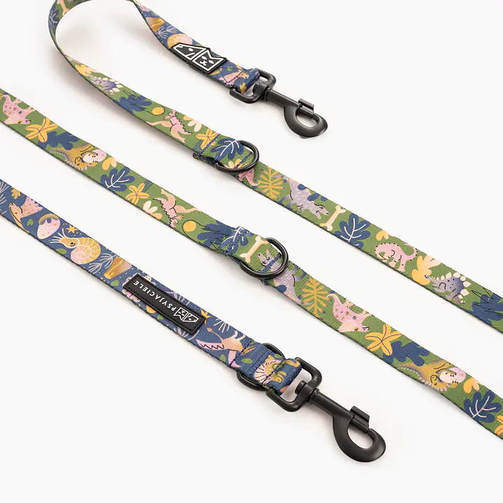 WYPRZEDAŻ Smycz przepinana dla psa lub kota "Oh my Gad" - Master