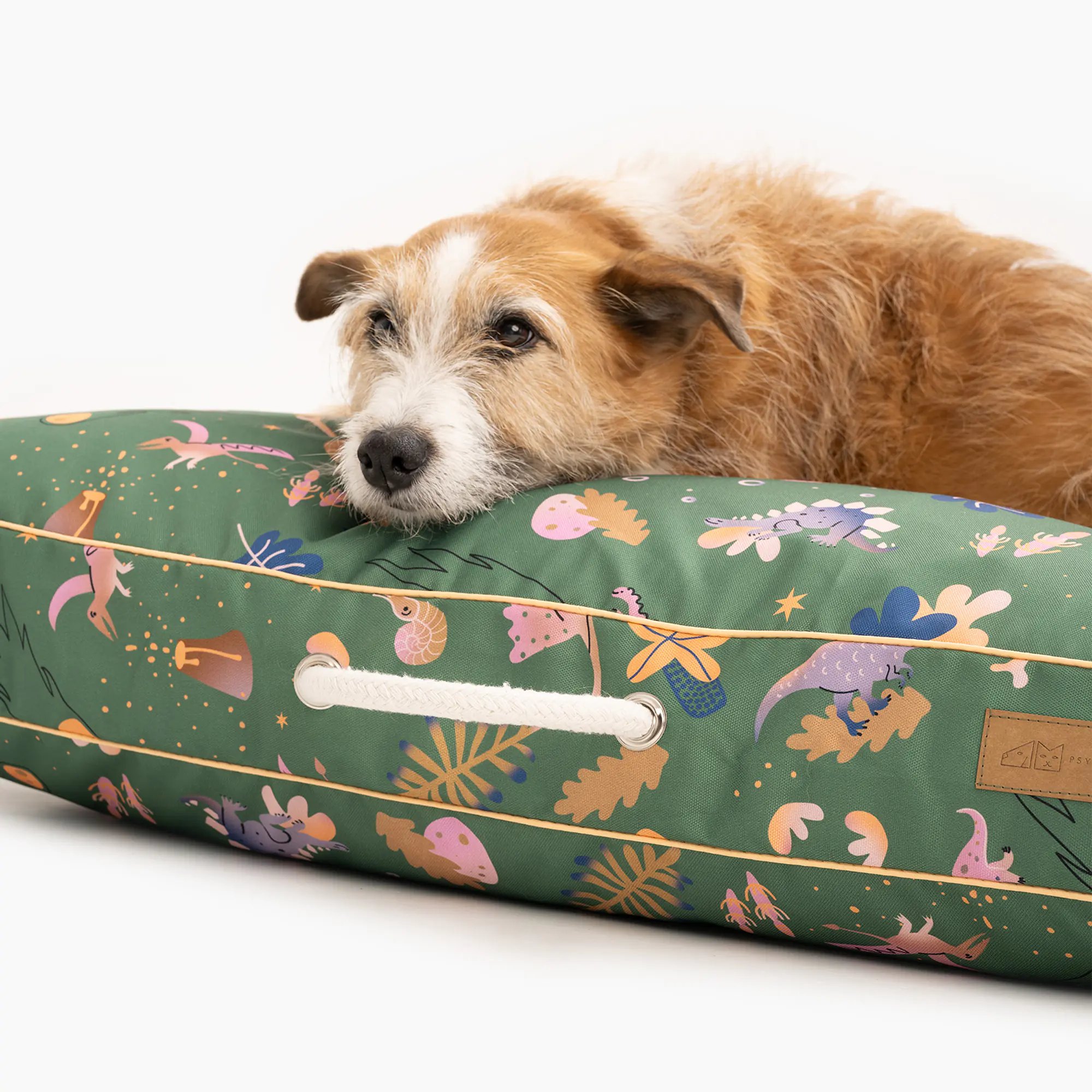 Cushion "Doggosaurus" - Master