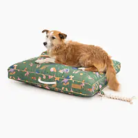 Cushion "Doggosaurus" - Master