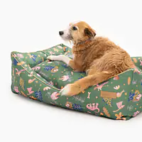 Couch "Doggosaurus" - Master