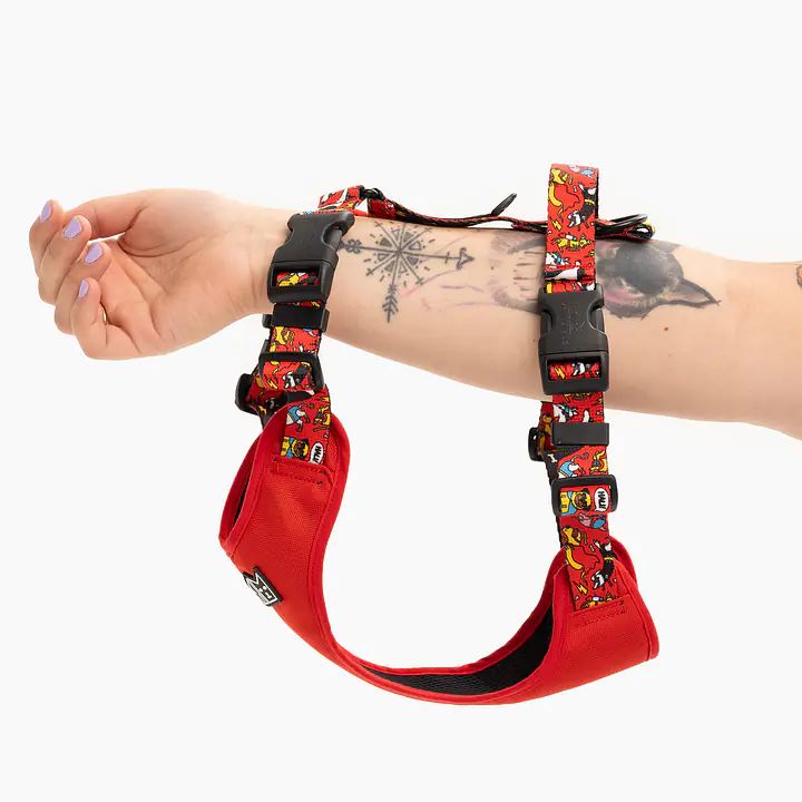 Szelki bezuciskowe Stay on "Pies, który lata najlepsze ma za sobą" - Master