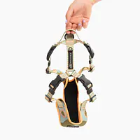 Stay-on pressure-free harness "Sausage dog" - Master