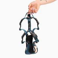 Stay-on pressure-free harness "Doggomaki" - Master