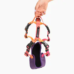 Szelki bezuciskowe Stay on "Under my ombrella" pomarańcz - Master