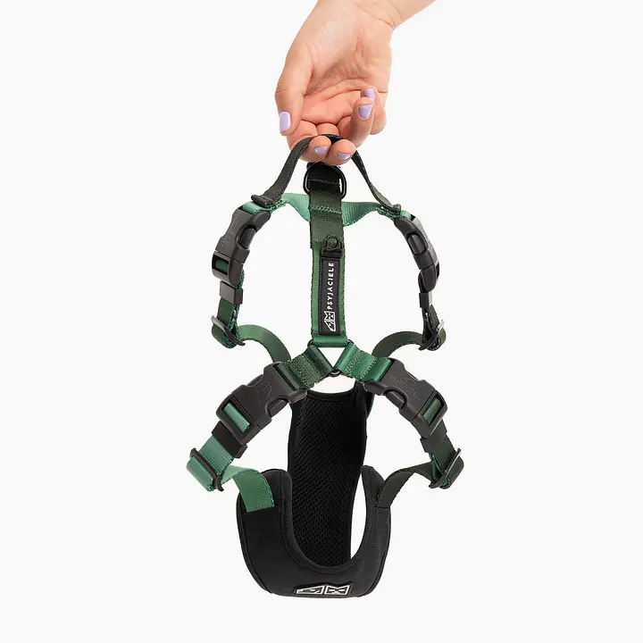 Stay-on pressure-free harness "Under my ombrella" green - Master