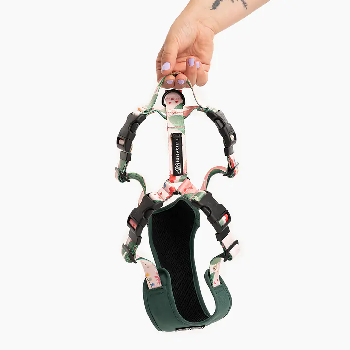 Szelki bezuciskowe Stay on "Więcej niż jedno zwierzę" - Master