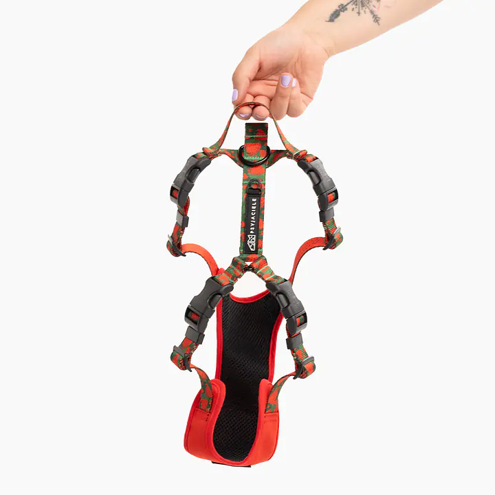 Szelki bezuciskowe Stay on "Większe niż poziomka na 9 liter" - Master