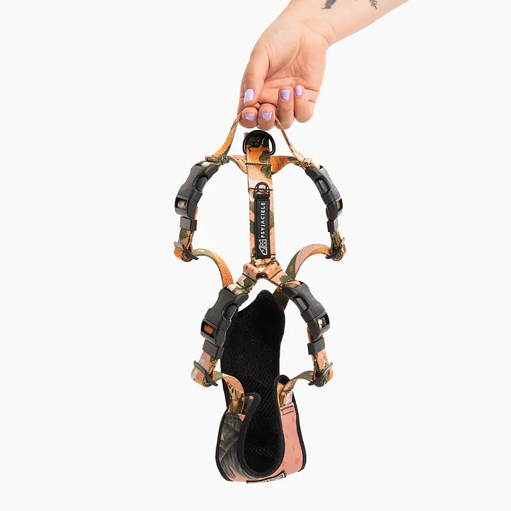 Szelki bezuciskowe Stay on "Wie wiórka co dobre" - Master