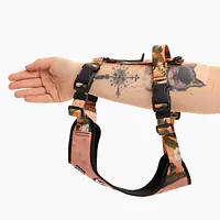 Szelki bezuciskowe Stay on "Wie wiórka co dobre" - Master