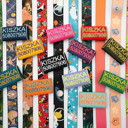 Cicha adresówka dla psa lub kota "Purple" - Master