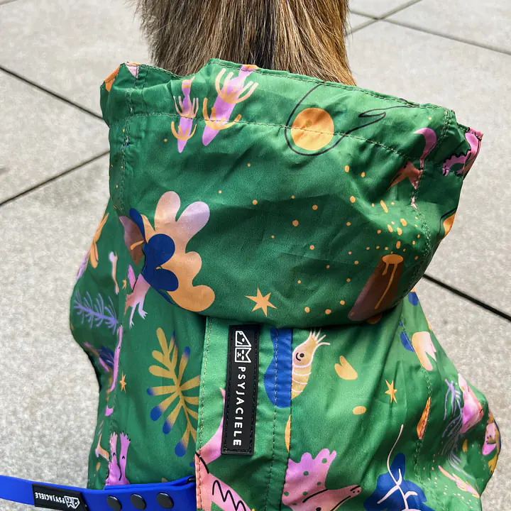 Raincoat for dog "Doggosaurus" - Master