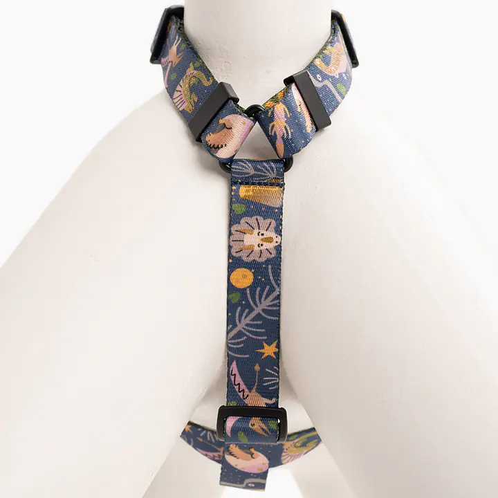 Szelki guard Stay on "Oh my Gad" - Master