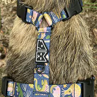 Szelki guard Stay on "Oh my Gad" - Master