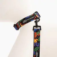 Dog or cat collar "Eye of the tiger" - Master