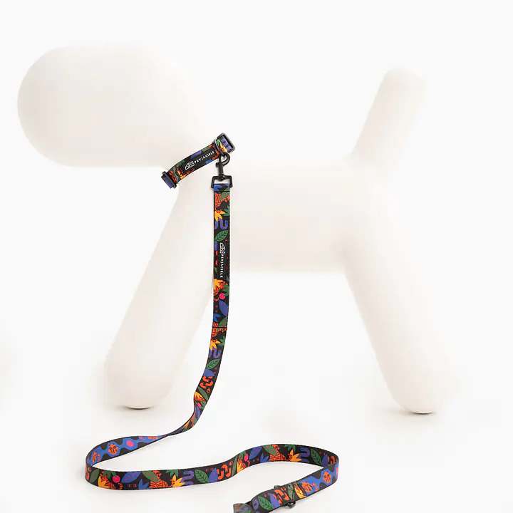 Dog or cat collar "Eye of the tiger" - Master