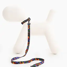 Dog or cat collar "Eye of the tiger" - Master