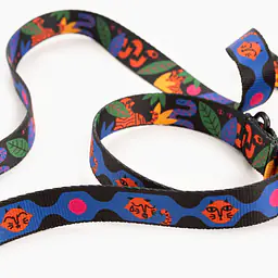 Dog or cat collar "Eye of the tiger" - Master