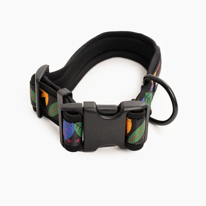 Dog collar SUPER SOFT "Eye of the tiger" - Master