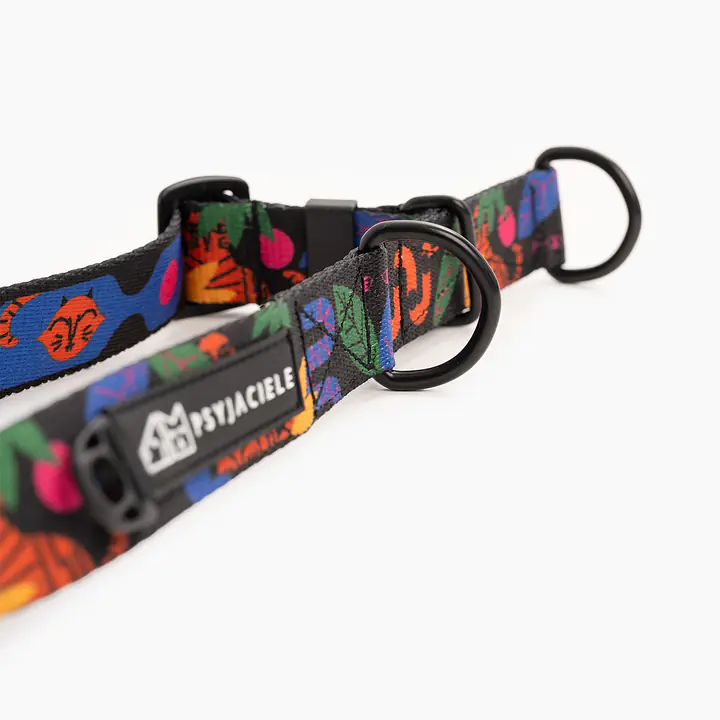 Obroża półzaciskowa dla psa lub kota "Eye of the tiger" - Master