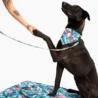 WYPRZEDAŻ Legowisko materac dla psa lub kota "Mokry sen kury" - Master