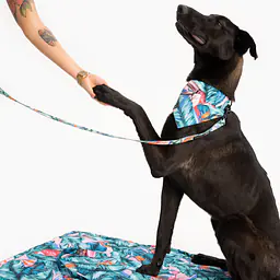 WYPRZEDAŻ Legowisko materac dla psa lub kota "Mokry sen kury" - Master