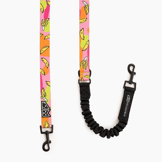 "We went bananas" leash with a shock absorber