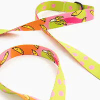 Smycz przepinana z amortyzatorem dla psa lub kota "Owoc falliczny 2.0" - Master