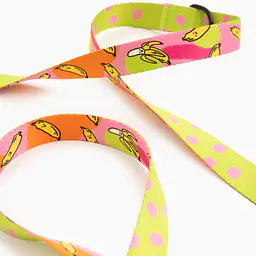 Smycz przepinana z amortyzatorem dla psa lub kota "Owoc falliczny 2.0" - Master