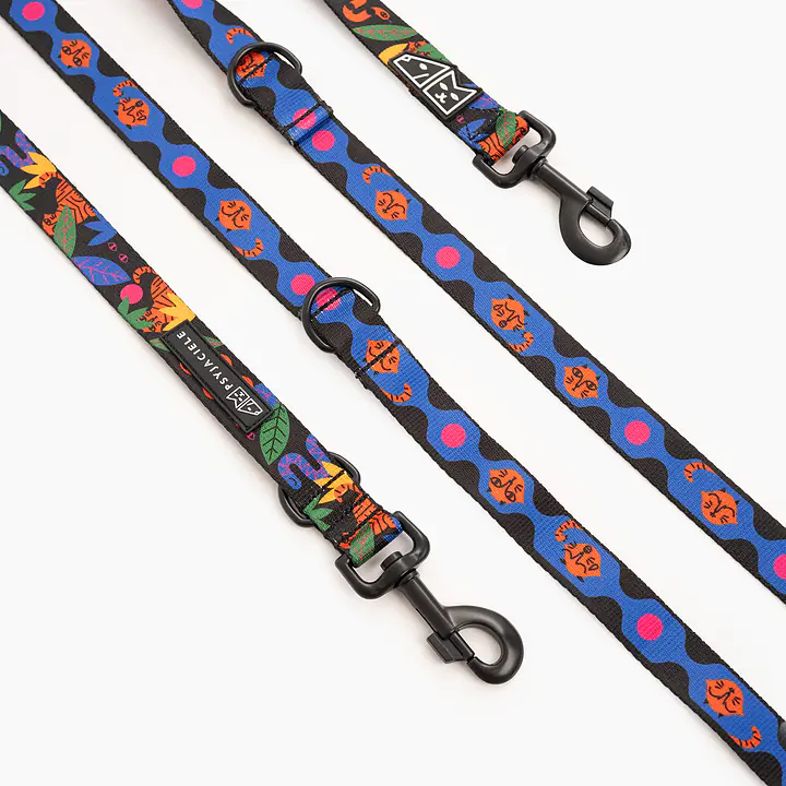 Smycz przepinana dla psa lub kota "Eye of the tiger" - Master