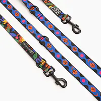 Smycz przepinana dla psa lub kota "Eye of the tiger" - Master