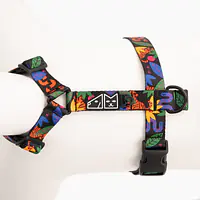 Szelki dla psa lub kota typu guard "Eye of the tiger" - Master