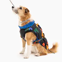 Kurtka dla psa "Eye of the tiger" - Master