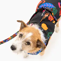 Kurtka dla psa "Eye of the tiger" - Master