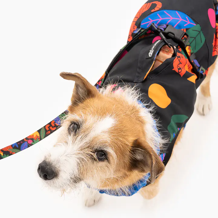 Kurtka dla psa "Eye of the tiger" - Master