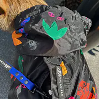 Raincoat for dog "Eye of the tiger" - Master