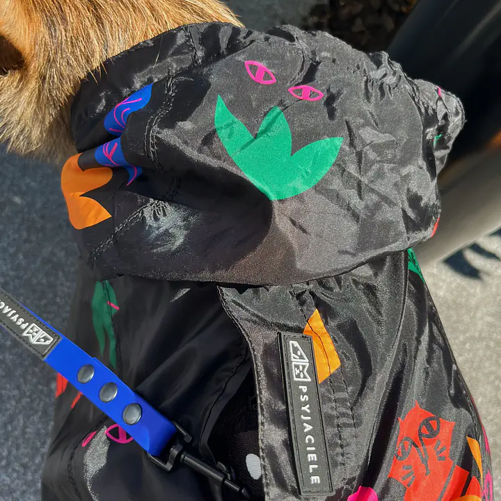 Raincoat for dog "Eye of the tiger" - Master