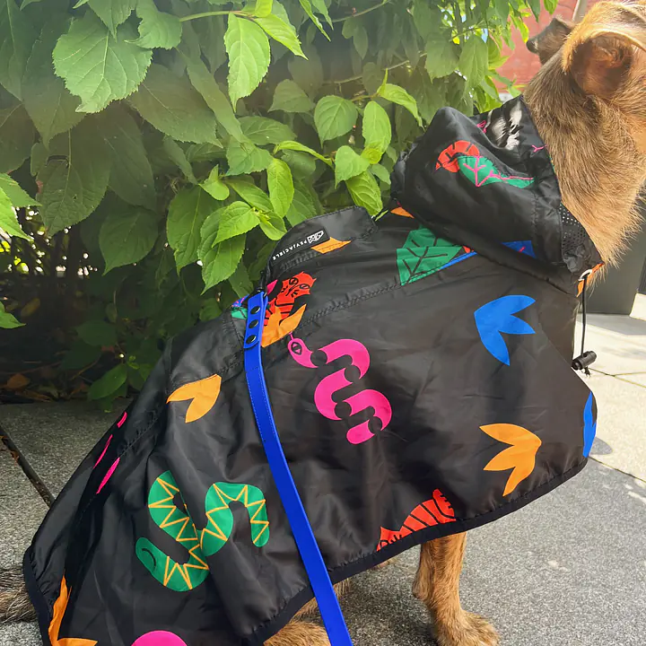 Raincoat for dog "Eye of the tiger" - Master