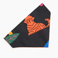 Bandana "Eye of the tiger" collar - Master