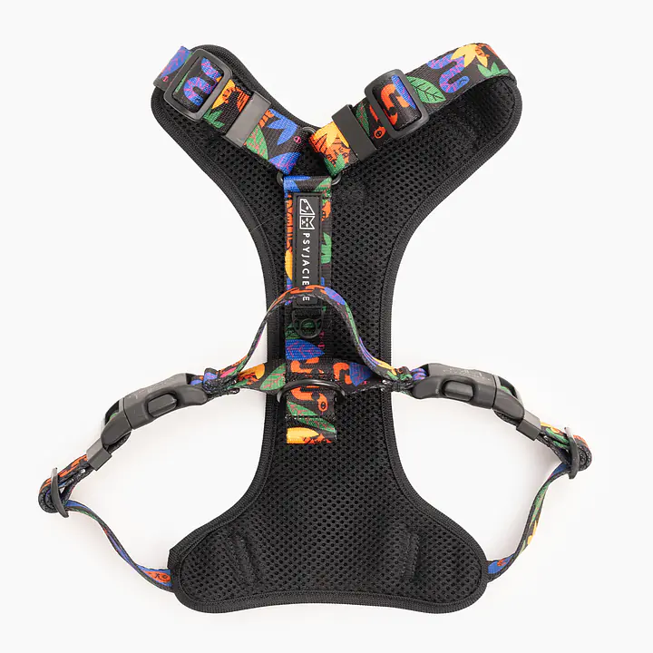 Szelki bezuciskowe dla psa lub kota "Eye of the tiger" - Master