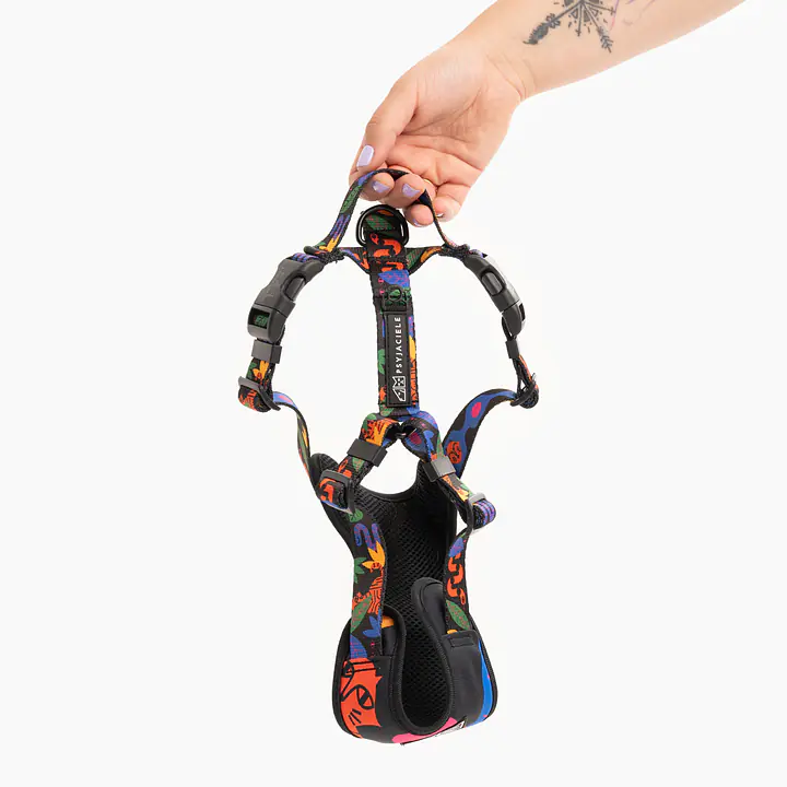 Szelki bezuciskowe dla psa lub kota "Eye of the tiger" - Master