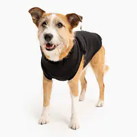 Haftowana bluza dla psa "Black"   - Master