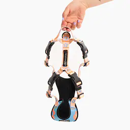 Szelki bezuciskowe Stay on "Oopsy Daisy" - Master