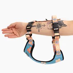 Szelki bezuciskowe Stay on "Oopsy Daisy" - Master