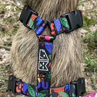 Stay-on pressure-free harness "Eye of the tiger" - Master