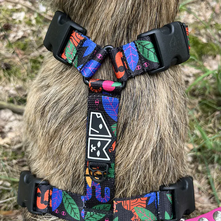 Stay-on pressure-free harness "Eye of the tiger" - Master