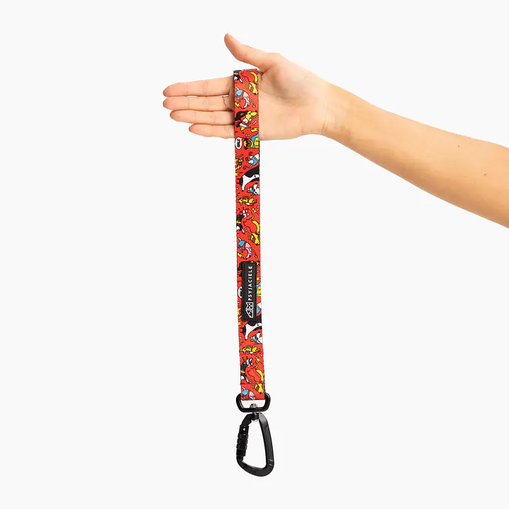 Pętla mocowana do pasa samochodowego "Pies, który lata najlepsze ma za sobą" - Master