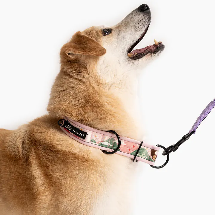 Half-clamp SUPER SOFT collar "Oopsy Daisy" - Master