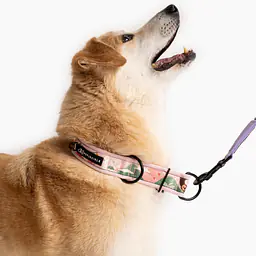 Half-clamp SUPER SOFT collar "Doggomaki" - Master