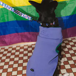 Haftowana bluza dla psa "Purple"   - Master